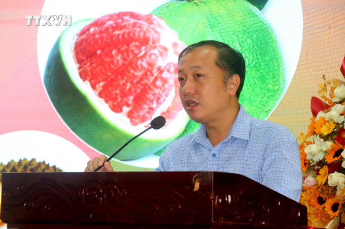 Ông Nguyễn Quang Hiếu, Phó Cục trưởng Cục Bảo vệ thực vật, thông tin dự báo về thị trường Trung Quốc. Ảnh: Thu Hiền - TTXVN vna_potal_huong_dan_quy_dinh_moi_cua_nuoc_nhap_khau_sau_rieng_dong_lanh_va_buoi_7666039.jpg