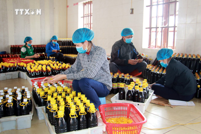 Công ty Cổ phần Chế biến Hải sản Nam Định, thị trấn Thịnh Long, huyện Hải Hậu hiện có 3 sản phẩm đạt chứng nhận OCOP 4 sao là nước mắm Ninh Cơ, mắm tôm Ninh Cơ và sứa ăn liền Ninh Cơ. Ảnh: Nguyễn Lành - TTXVN vna_potal_hieu_qua_trong_phat_trien_san_pham_ocop_tai_nam_dinh_7265263.jpg