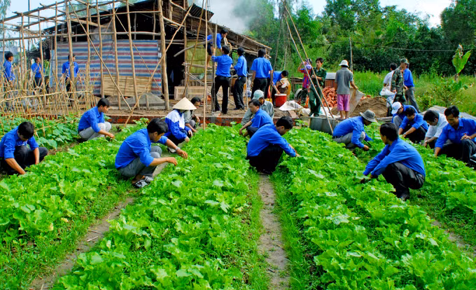 Bạc Liêu thu hút trí thức trẻ tình nguyện tham gia phát triển nông thôn ảnh 1