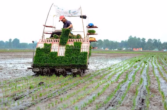 Hiệu quả từ Chương trình Phát triển nông nghiệp ứng dụng công nghệ cao ở Long An ảnh 1