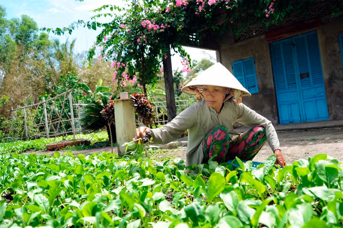 Chuyển đổi mô hình sản xuất giúp đời sống đồng bào Khmer ở Vĩnh Thuận khởi sắc ảnh 6