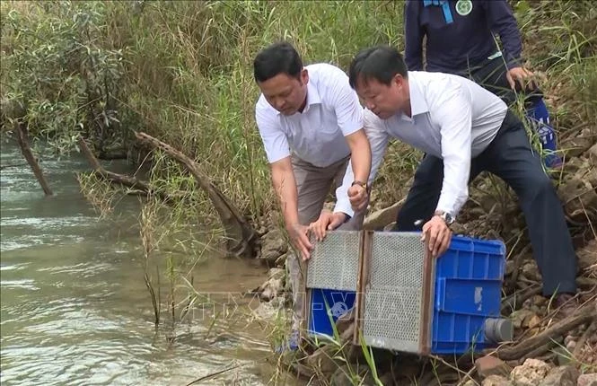 135 cá thể động vật hoang dã được thả về môi trường tự nhiên ở Quảng Bình