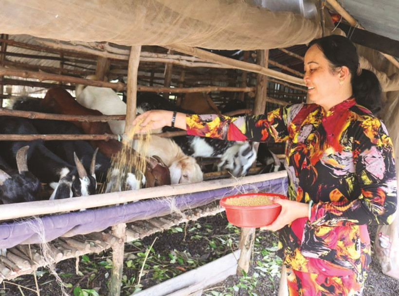 Đổi thay ở ấp Đường Đào của đồng bào dân tộc Khmer