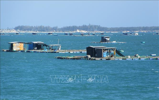 Mô hình lồng bè nuôi tôm hùm, cá biển tại khu vực biển huyện Ninh Hải, tỉnh Ninh Thuận. Ảnh tư liệu: Nguyễn Thành-TTXVN