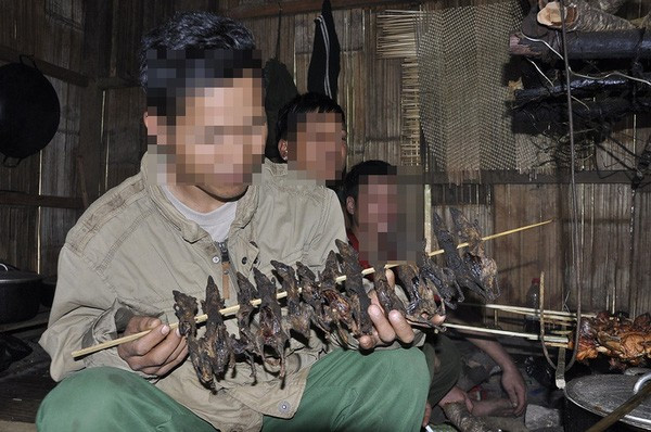 Kon Tum: Ba người ở huyện Kon Rẫy bị ngộ độc sau khi ăn thịt chuột, uống rượu