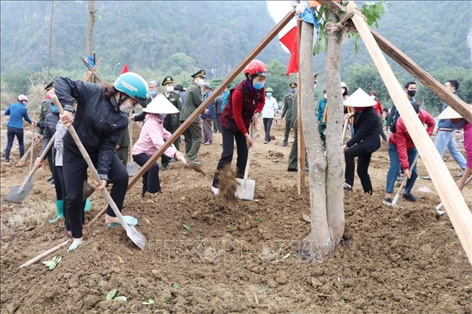 Ninh Bình phấn đấu trồng 1 triệu cây xanh và 40 ha rừng trong năm 2021