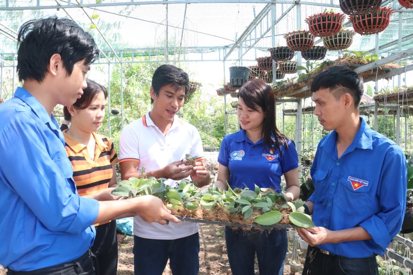 Trần Minh Huân khởi nghiệp từ niềm đam mê vẻ đẹp các loài hoa