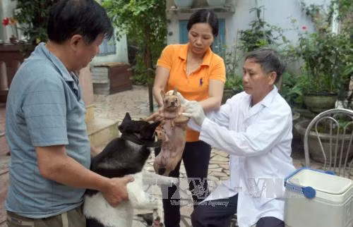 Nhân Ngày Thế giới phòng chống bệnh dại (28/9): Tăng cường nhận thức của người dân về bệnh dại