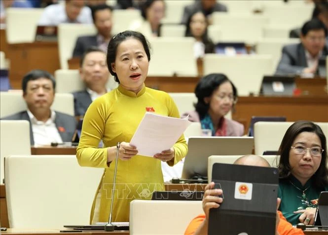 Đại biểu Quốc hội tỉnh Sóc Trăng Tô Ái Vang phát biểu. Ảnh: Văn Điệp - TTXVN