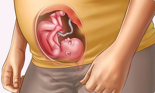 Cảnh báo về hậu quả của nền nhiệt cao đối với sức khỏe thai nhi