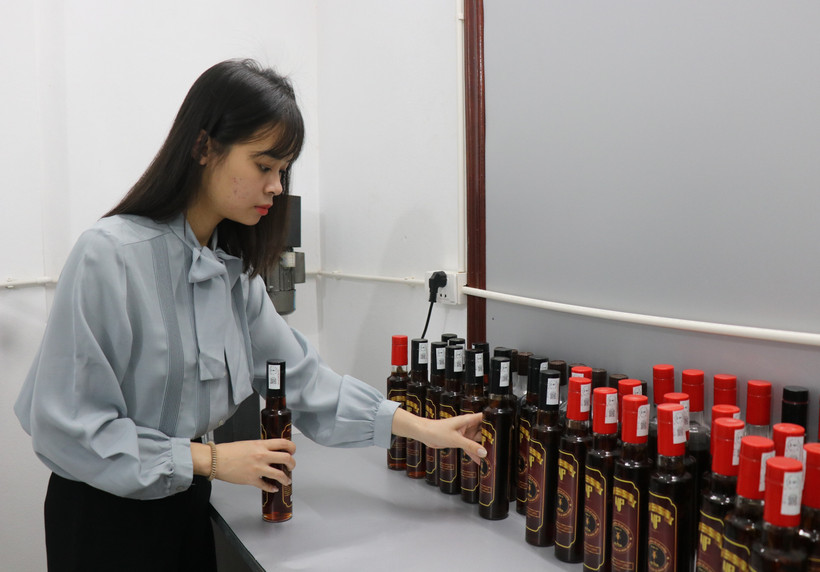 Sản phẩm nước mắm cà cuống Nam Vị. Ảnh: Thanh Thương – TTXVN