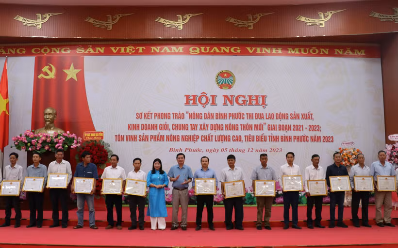 Bình Phước phát huy hiệu quả phong trào nông dân sản xuất giỏi​