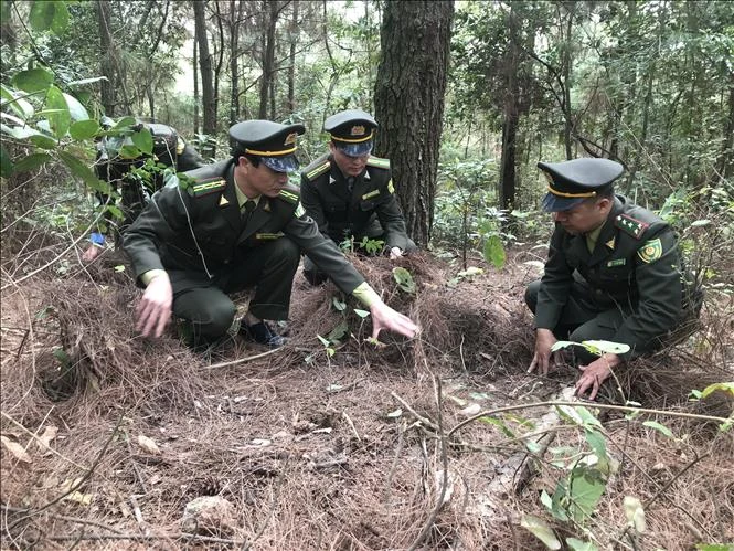 Gắn phòng, chống cháy rừng với gìn giữ và bảo vệ cảnh quan các khu di tích ở Hải Dương