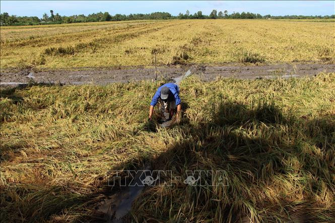 Tiếp tục gia hạn thời hạn nộp thuế, tiền thuê đất trong năm 2021