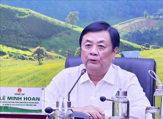 Nhận diện thực trạng liên kết tiêu thụ, xuất khẩu sầu riêng