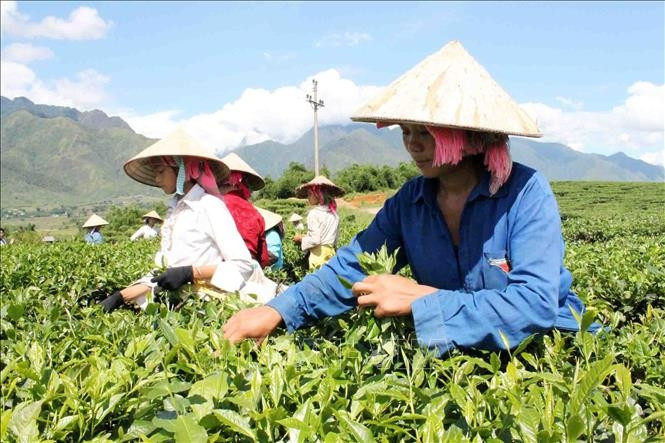 Hoàn thiện báo cáo chủ trương đầu tư Chương trình Giảm nghèo bền vững 2021 - 2025