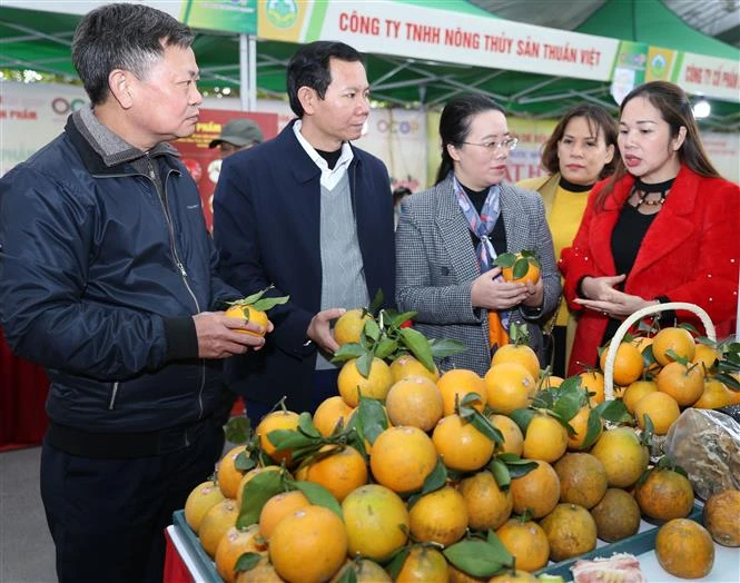 Khách tham quan, mua sắm tại các gian hàng OCOP. Ảnh: Hoàng Hiếu - TTXVN 
