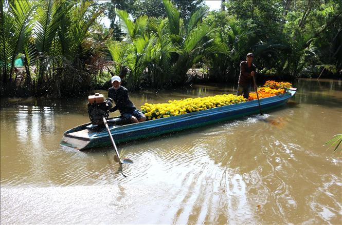Ghe hoa trên dòng kênh thuộc xã Vĩnh Viễn, huyện Long Vỹ, tỉnh Hậu Giang. Ảnh: Duy Khương 