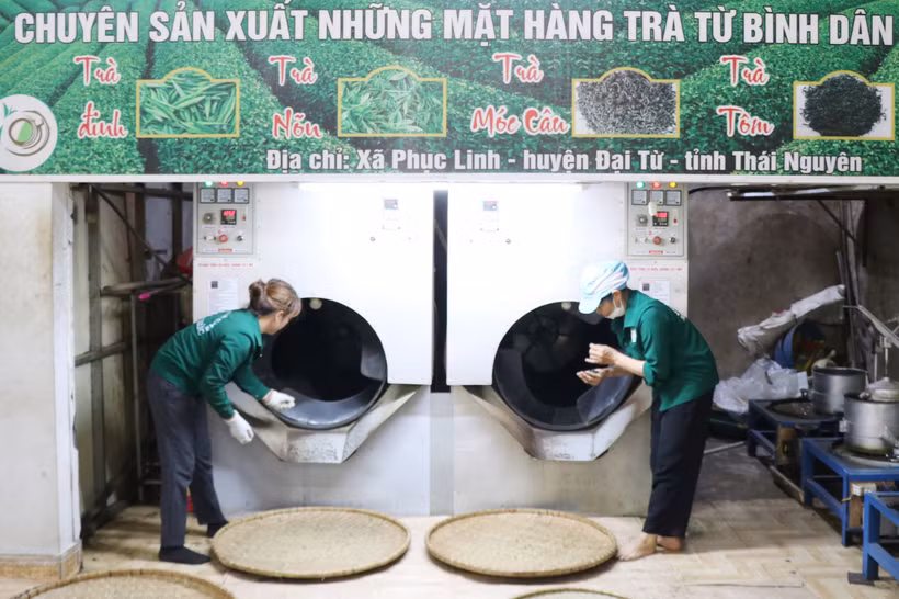 Chìa khóa để chè Thái Nguyên hội nhập