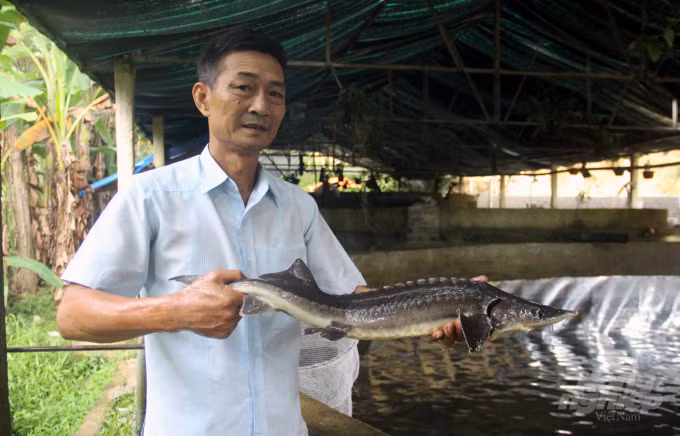 Ông Hà Khắc Sâm - "vua" cá tầm, cá hồi trên đỉnh Pù Rinh. Ảnh: nongnghiep.vn