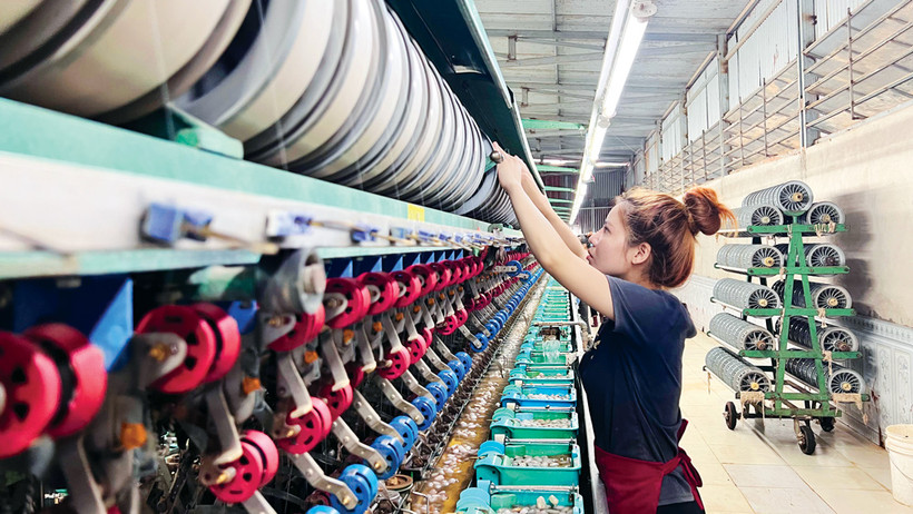 Ngành dâu tằm tơ Lâm Đồng "trúng lớn" dịp đầu năm mới