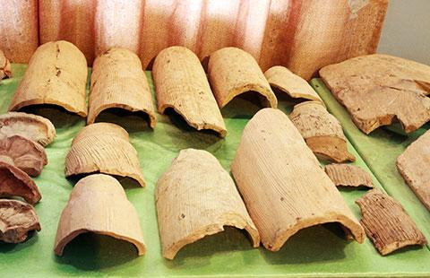 Hơn 50 mảnh khuôn đúc trống đồng được các nhà khảo cổ tìm thấy cuối năm 2014 ở độ sâu 1,8 - 2m, phân bố khá đều trong lòng hố khai quật, ở một địa tầng ổn định chỉ cách 20 m nơi PGS.TS Nishimura đã tìm thấy mảnh khuôn đúc trồng đầu đầu tiên tại Luy Lâu nă