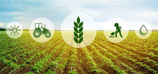 Xây dựng kế hoạch, chiến lược thực hiện chuyển đổi số nông nghiệp, nông thôn