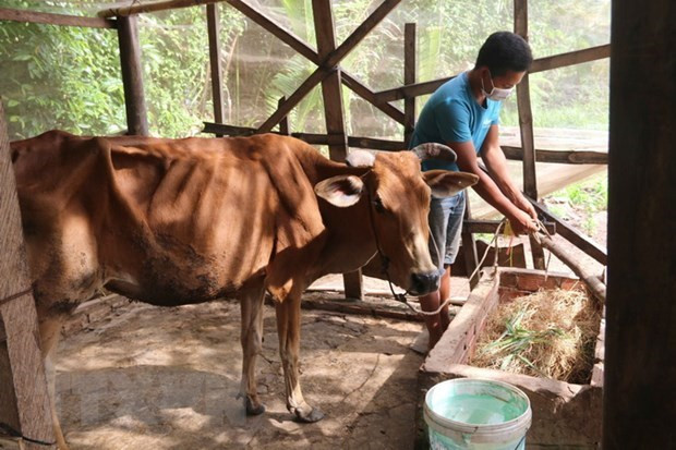 Kiên Giang: Ưu tiên phát triển toàn diện, bền vững vùng đồng bào dân tộc thiểu số