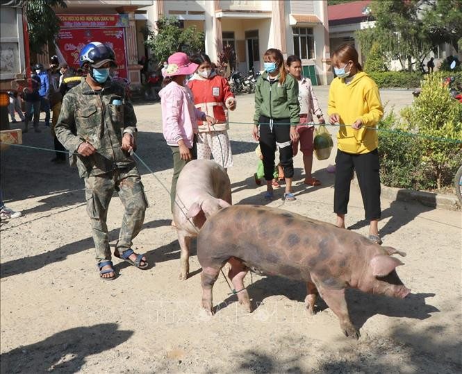 Trao tặng quà Tết, giúp đỡ đồng bào dân tộc thiểu số ở Tu Mơ Rông