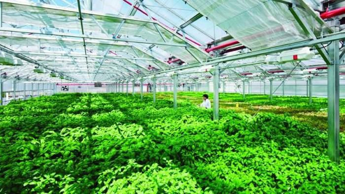 Thành lập Khu nông nghiệp ứng dụng công nghệ cao Thái Nguyên