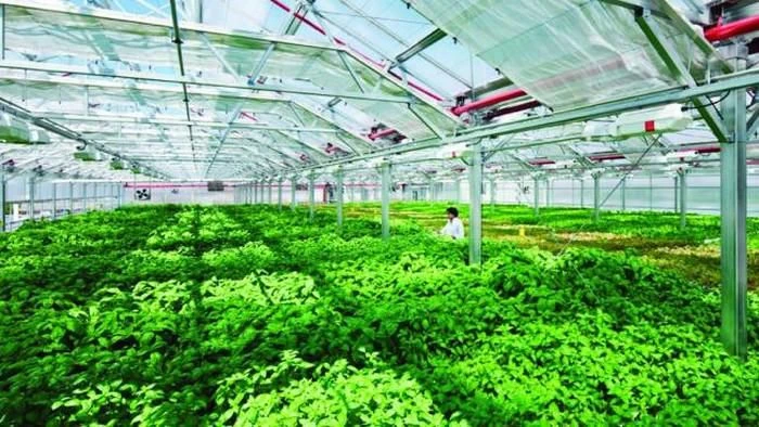 Thành lập Khu nông nghiệp ứng dụng công nghệ cao Thái Nguyên