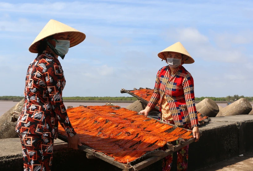 “Thủ phủ” nghề làm hải sản khô Gành Hào vào mùa Tết