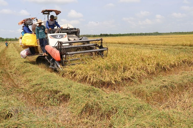 Xuất khẩu gạo 8 tháng của Sóc Trăng tăng hơn 16,5%