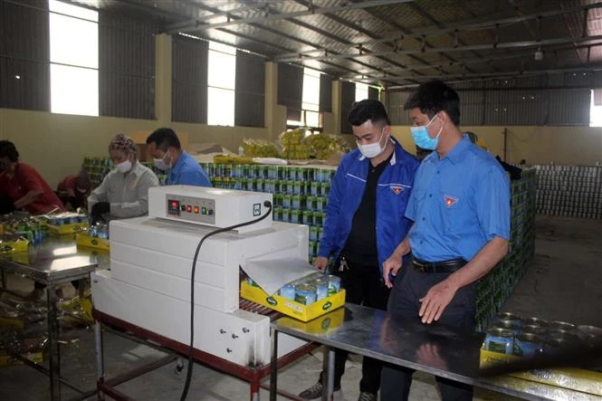 Anh Lê Trường Tùng, xã Trung Thành, huyện Nông Cống (ngoài cùng bên phải) đã xây dựng thành công mô hình áp dụng công nghệ cao và sản xuất dứa, ngô, cà chua đóng hộp xuất khẩu cho thu nhập 4 tỷ/năm. Ảnh: Nguyễn Nam-TTXVN 