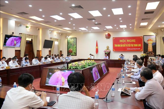 Tìm hướng sản xuất và tiêu thụ thanh long bền vững