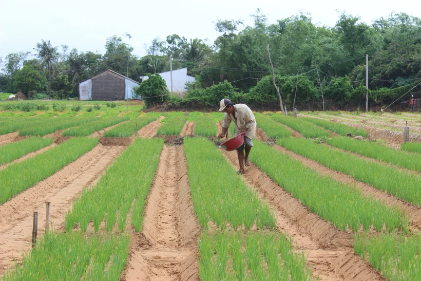 Nông dân Sóc Trăng cùng nhau giảm nghèo bền vững