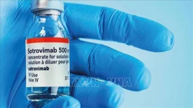 Hãng dược phẩm GlaxoSmithKline cho rằng thuốc Sotrovimab có hiệu quả trong việc điều trị bệnh nhân nhiễm biến thể Omicron gây bệnh COVID-19. Ảnh: The Sydney Morning Herald/TTXVN