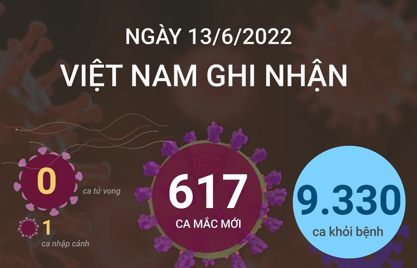 Dịch COVID-19: Ngày 13/6, có 9.330 bệnh nhân được công bố khỏi COVID-19, không có ca tử vong