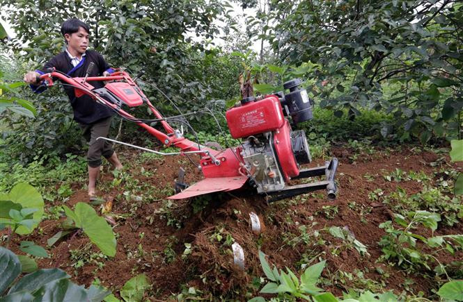 Gia đình anh Thào A Dì, dân tộc Mông ở xã Nậm Khắt, huyện Mù Căng Chải (Yên Bái) vay vốn ưu đãi đầu tư mua máy cày phục vụ sản xuất cho hiệu quả và năng suất cao. Ảnh: Trần Việt - TTXVN 