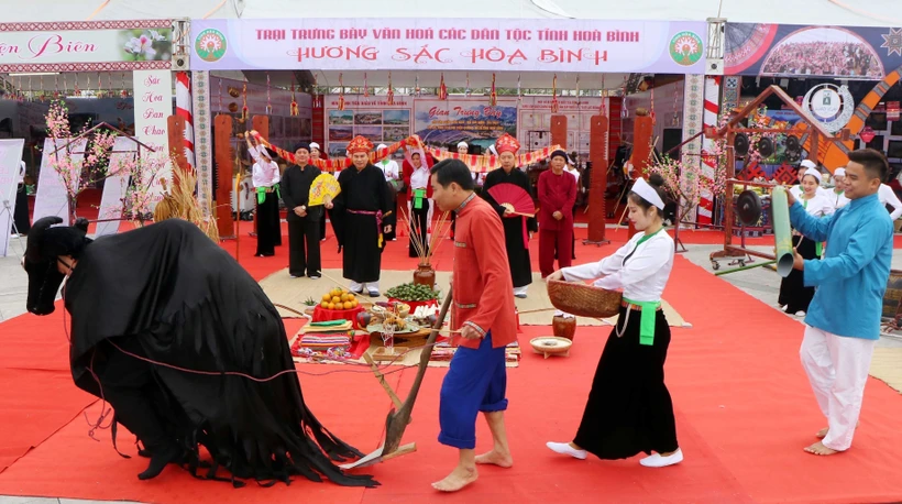 Trích đoạn Lễ hội Xuống đồng của đồng bào Mường, tỉnh Hòa Bình. Ảnh: Trung Kiên - TTXVN