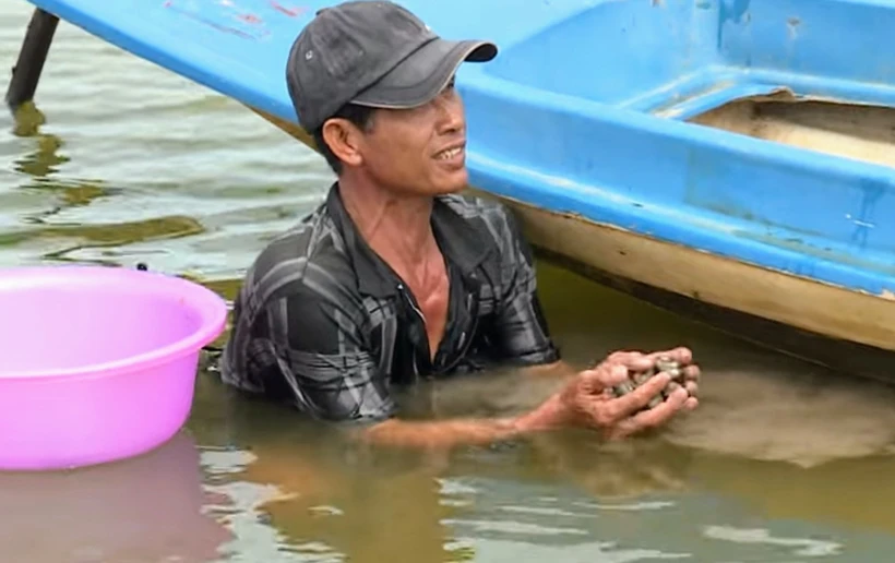 Nhân rộng mô hình nuôi sò huyết trong vuông tôm