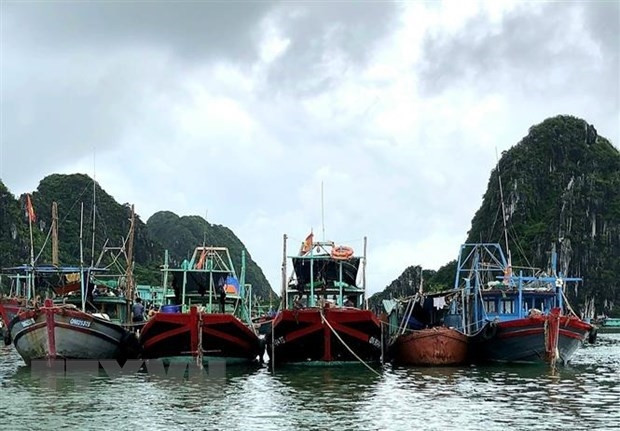 Các tỉnh, thành phố từ Quảng Ninh đến Quảng Ngãi chủ động ứng phó với bão số 3