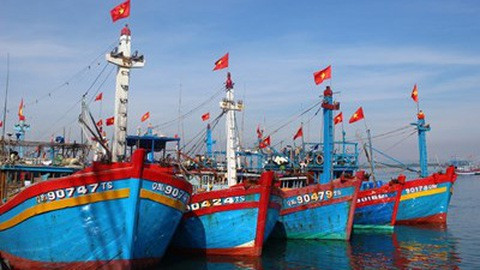 Ngư dân Bình Định gặp khó vì bảo hiểm tàu cá