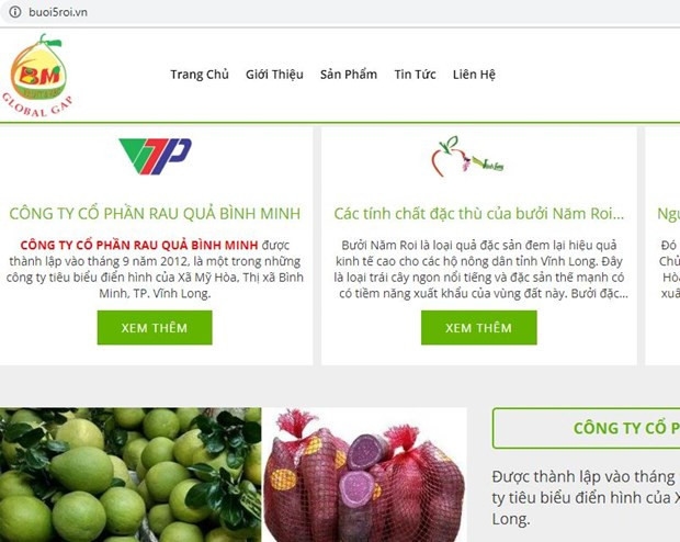 Nông sản Vĩnh Long lên sàn thương mại điện tử với tên miền “.vn”