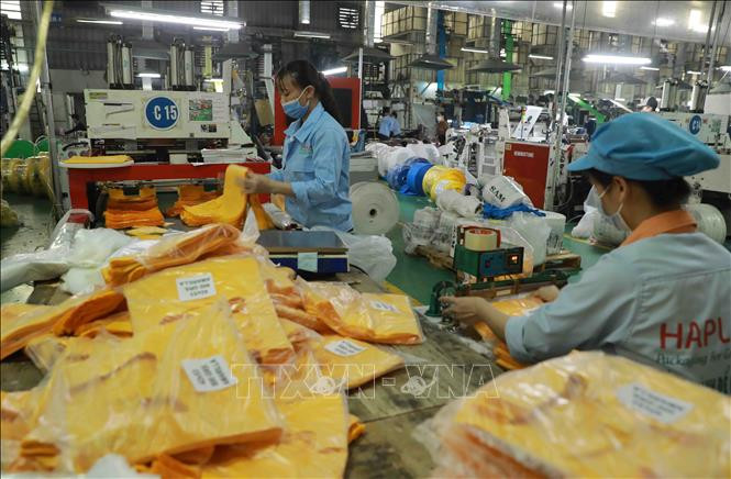 Các sản phẩm của Công ty Cổ phần HAPLAST được xuất khẩu sang thị trường châu Âu, Mỹ, Canada... Ảnh: Vũ Sinh - TTXVN
