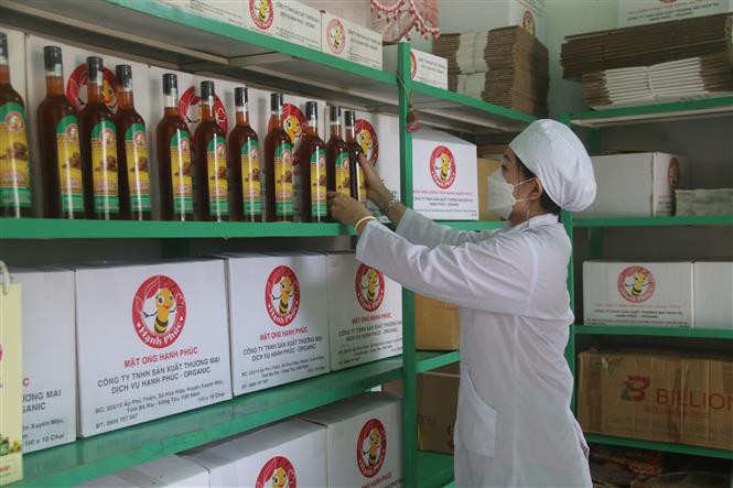 Để nâng cao chất lượng sản phẩm, phía Công ty TNHH Sản xuất Thương mại Dịch vụ Hạnh Phúc - Oganic, xã Hòa Hiệp, huyện Xuyên Mộc chỉ dùng mật ong cà phê và đảm bảo 100% hoàn toàn từ tự nhiên không pha chế. Ảnh: Hoàng Nhị-TTXVN. 