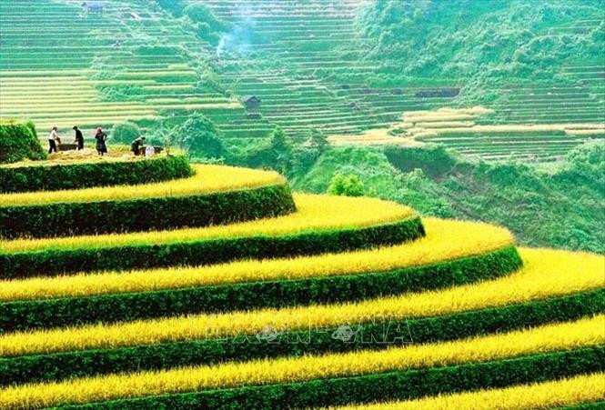 Khai mạc chương trình “Du lịch qua những miền di sản ruộng bậc thang Hoàng Su Phì” 2022