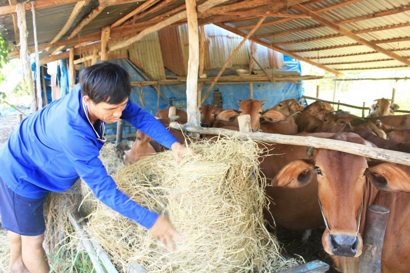 Hậu Giang phấn đấu mỗi năm giảm từ 2-3% số hộ dân tộc thiểu số nghèo