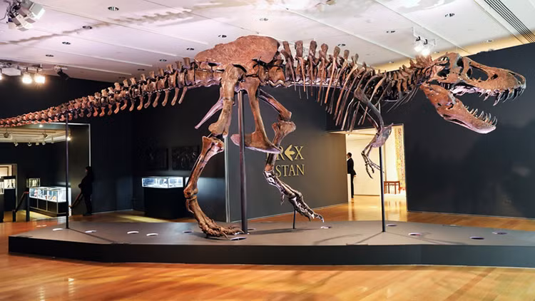 Bộ xương khủng long hoàn chỉnh nhất thế giới được bán với giá cao kỷ lục​