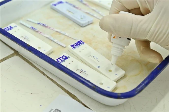 Xét nghiệm chẩn đoán sốt xuất huyết. Ảnh: Minh Quyết - TTXVN